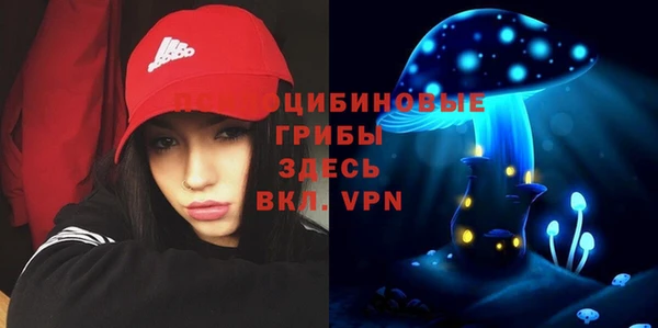 прущие грибы Арсеньев