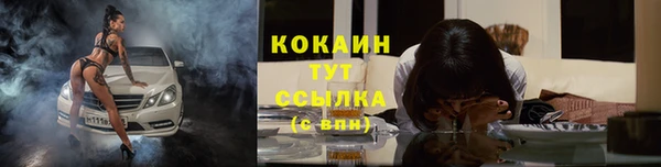прущие грибы Арсеньев