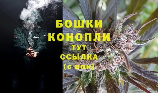 амф Аркадак